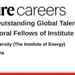 Peking University (The Institute of Energy)
