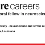 Tulane University - neuroscience and stroke research
