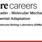 European Molecular Biology Laboratory (EMBL)